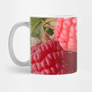 Closeup Red Raspberry Mug